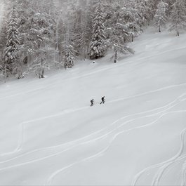Chalet Silenthia in Val di Concei